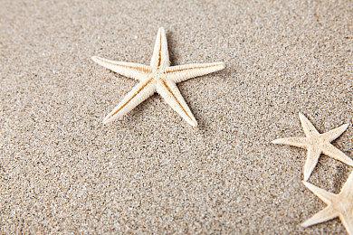 《原始袭变》公布发售后路线图 《怪物猎人》联动等